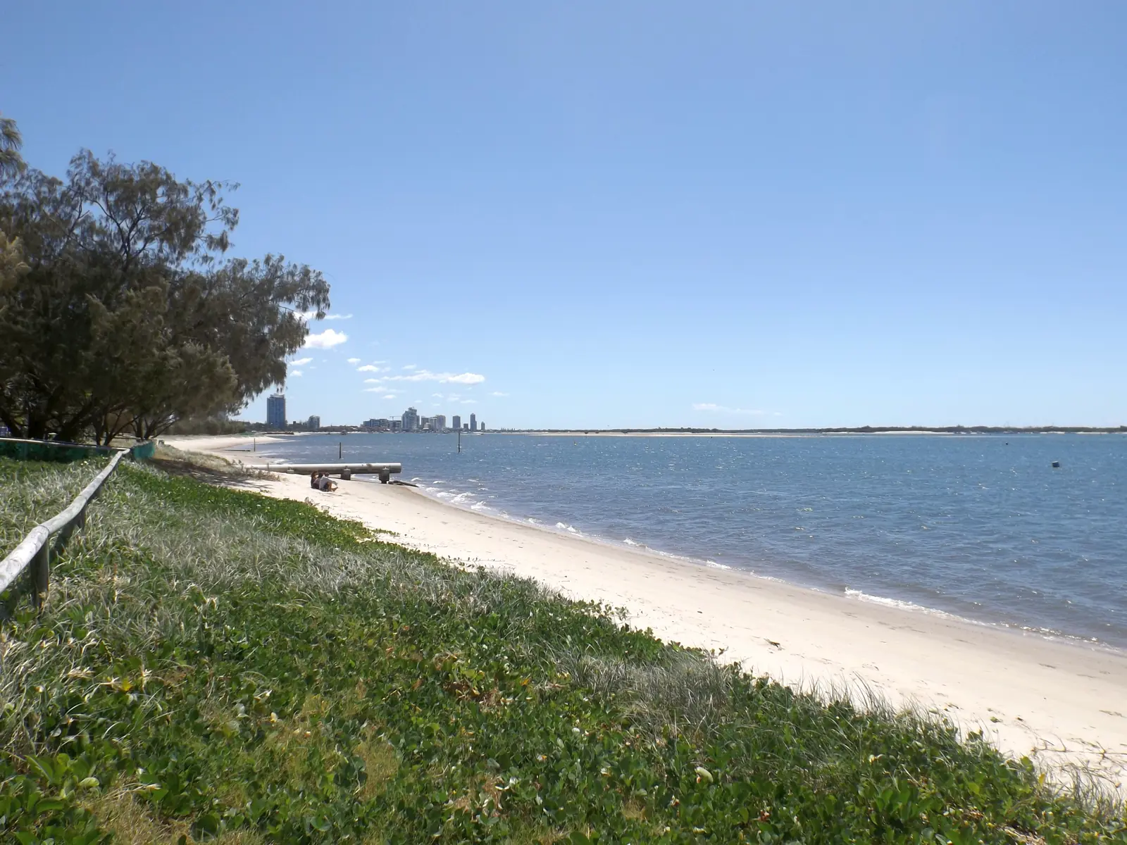 Grassy foreshore and a path at Southport Broadwater Parklands, with the Broadwater behind a row of trees.